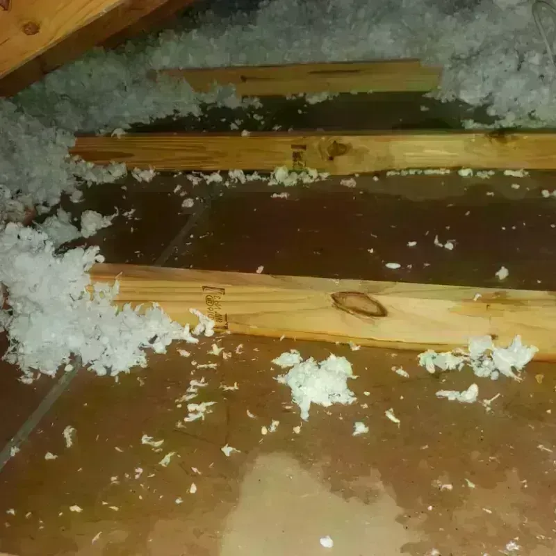 Attic Water Damage in Bryan County, OK