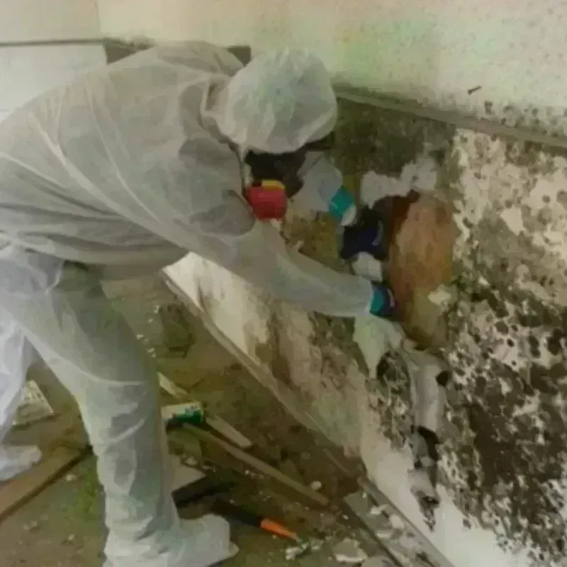 Mold Remediation and Removal in Bryan County, OK