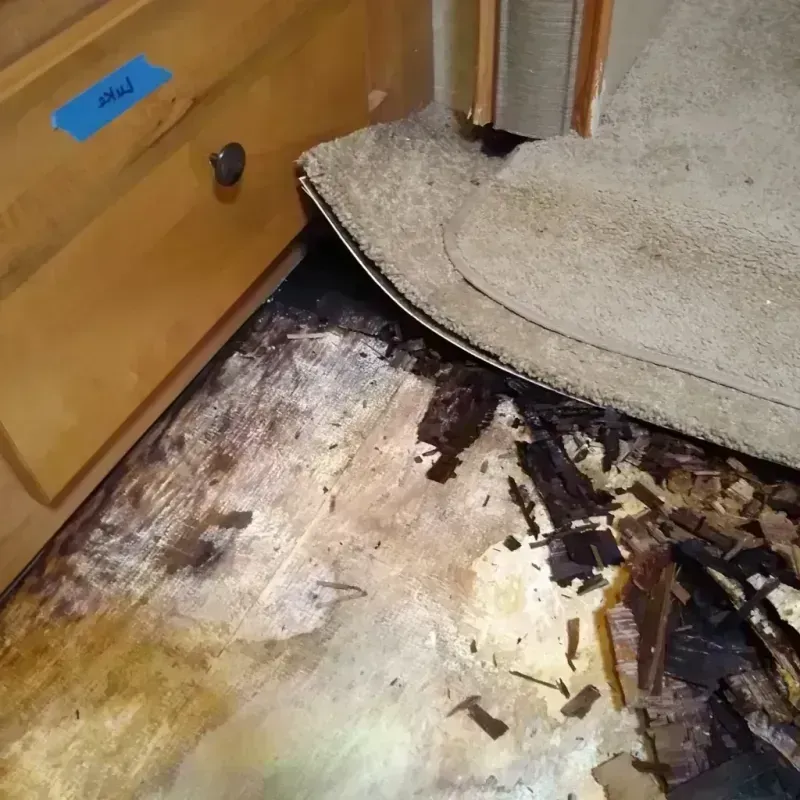 Wood Floor Water Damage in Bryan County, OK